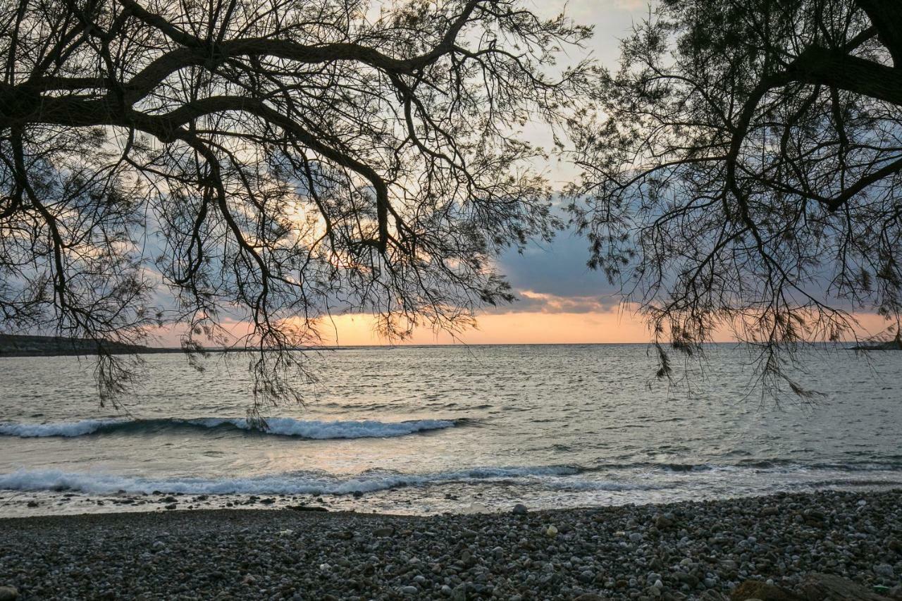 Sea Side House Rapanas Βίλα Φαλάσαρνα Εξωτερικό φωτογραφία