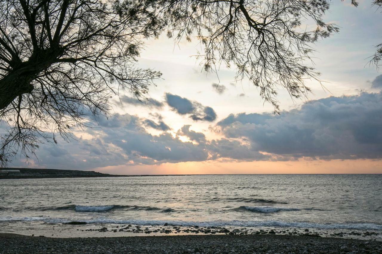 Sea Side House Rapanas Βίλα Φαλάσαρνα Εξωτερικό φωτογραφία